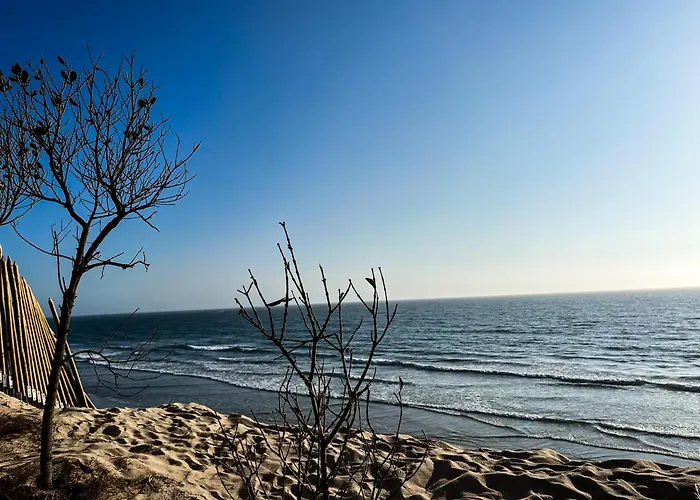 Casa Real - Royal Minho's Guest Dom wakacyjny Esposende